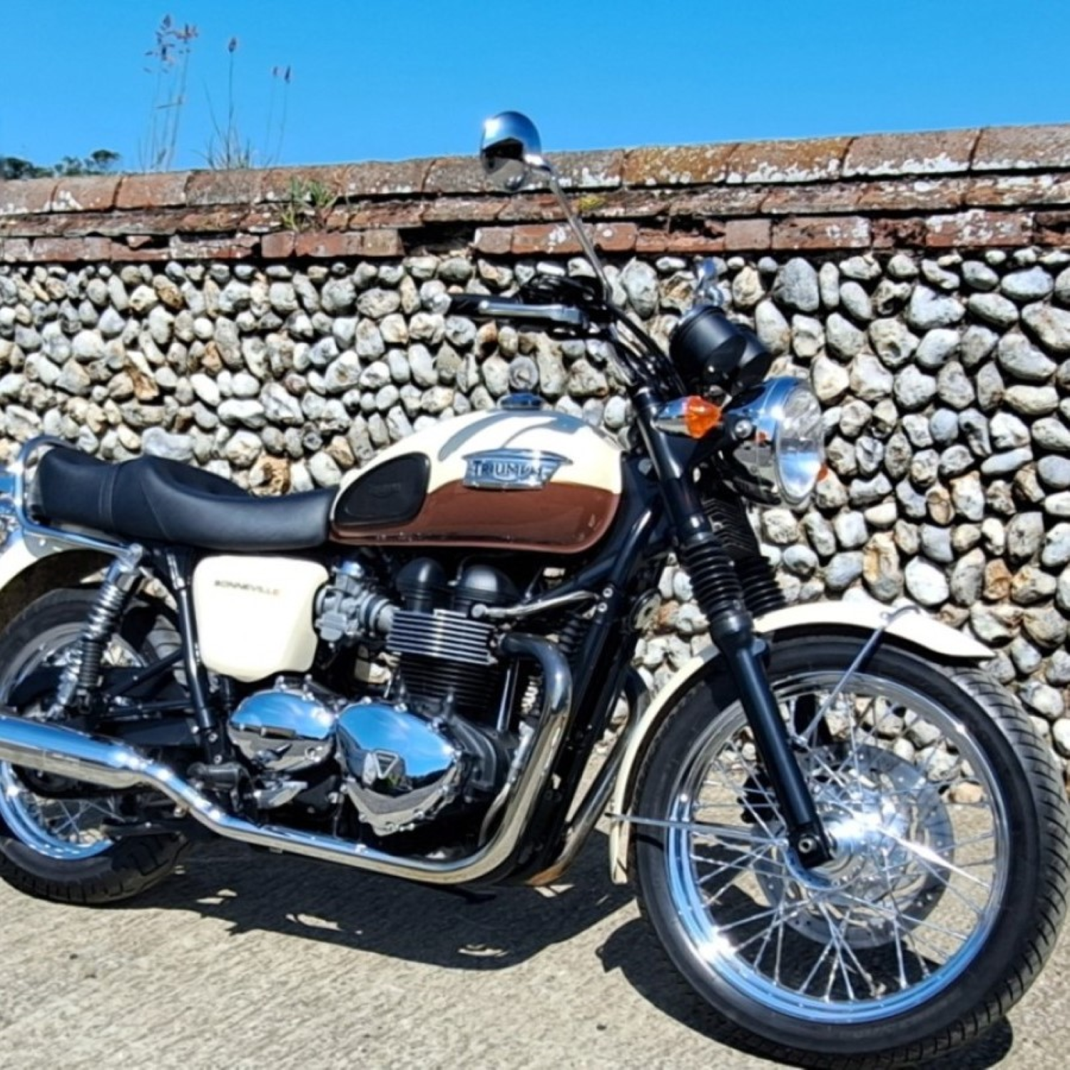 Triumph Vintage Cream (code VB) Paint Product